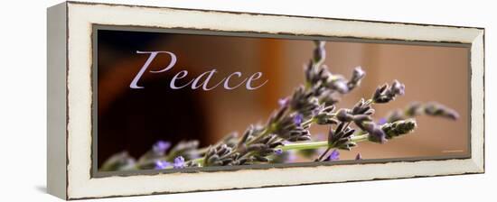 Lavender Peace-Nicole Katano-Framed Stretched Canvas