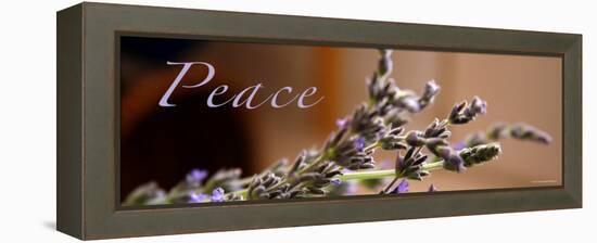 Lavender Peace-Nicole Katano-Framed Stretched Canvas