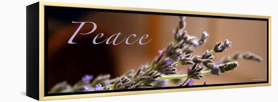 Lavender Peace-Nicole Katano-Framed Stretched Canvas