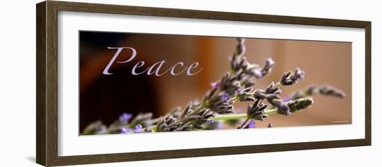 Lavender Peace-Nicole Katano-Framed Photo