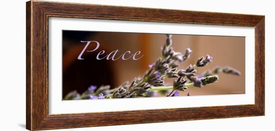 Lavender Peace-Nicole Katano-Framed Photo