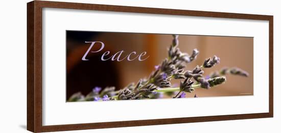 Lavender Peace-Nicole Katano-Framed Photo