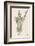 Lavender Personified-Walter Crane-Framed Photographic Print