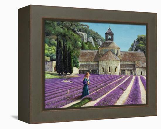 Lavender Picker, Abbaye Senanque, Provence-Trevor Neal-Framed Premier Image Canvas