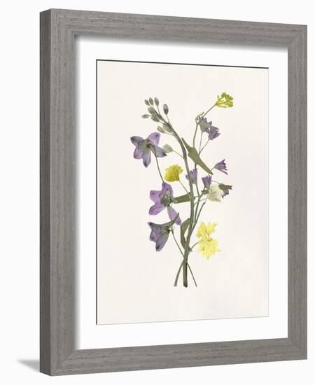 Lavender Pressed Keepsakes I-Emma Caroline-Framed Art Print