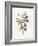 Lavender Pressed Keepsakes II-Emma Caroline-Framed Art Print