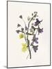 Lavender Pressed Keepsakes II-Emma Caroline-Mounted Art Print