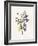 Lavender Pressed Keepsakes II-Emma Caroline-Framed Art Print