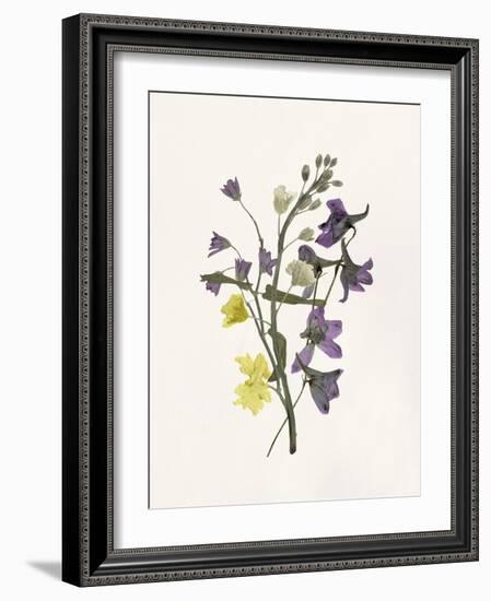 Lavender Pressed Keepsakes II-Emma Caroline-Framed Art Print