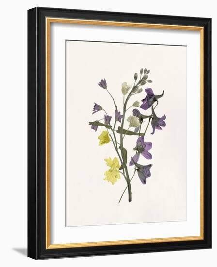 Lavender Pressed Keepsakes II-Emma Caroline-Framed Art Print