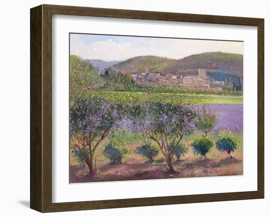 Lavender Seen Through Quince Trees, Monclus-Timothy Easton-Framed Giclee Print