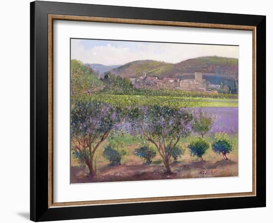 Lavender Seen Through Quince Trees, Monclus-Timothy Easton-Framed Giclee Print