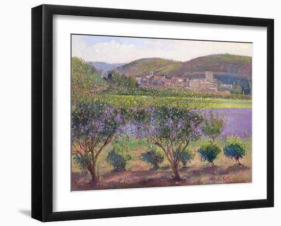 Lavender Seen Through Quince Trees, Monclus-Timothy Easton-Framed Giclee Print