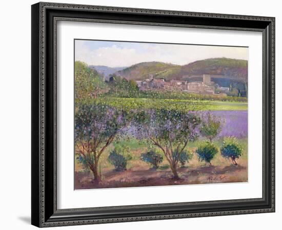 Lavender Seen Through Quince Trees, Monclus-Timothy Easton-Framed Giclee Print
