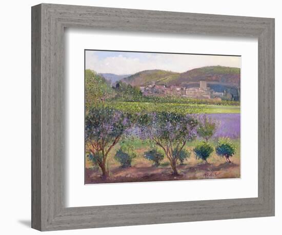 Lavender Seen Through Quince Trees, Monclus-Timothy Easton-Framed Giclee Print