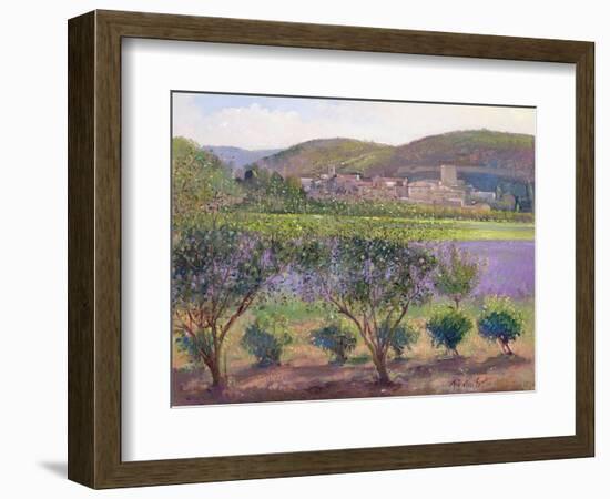 Lavender Seen Through Quince Trees, Monclus-Timothy Easton-Framed Giclee Print