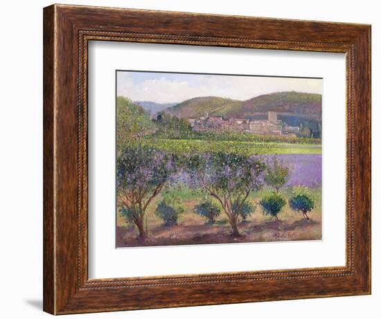 Lavender Seen Through Quince Trees, Monclus-Timothy Easton-Framed Giclee Print