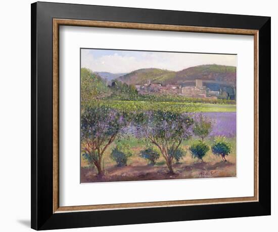 Lavender Seen Through Quince Trees, Monclus-Timothy Easton-Framed Giclee Print