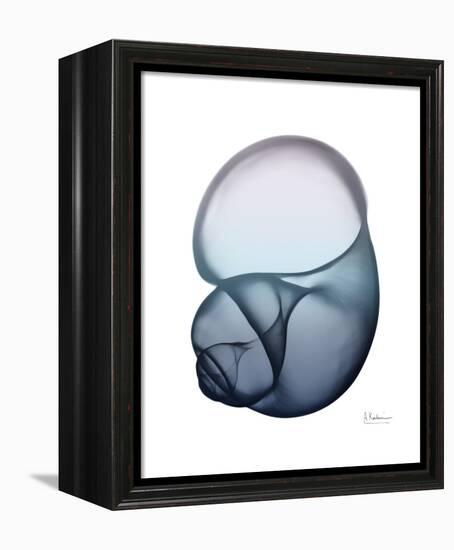 Lavender Snail 1-Albert Koetsier-Framed Stretched Canvas