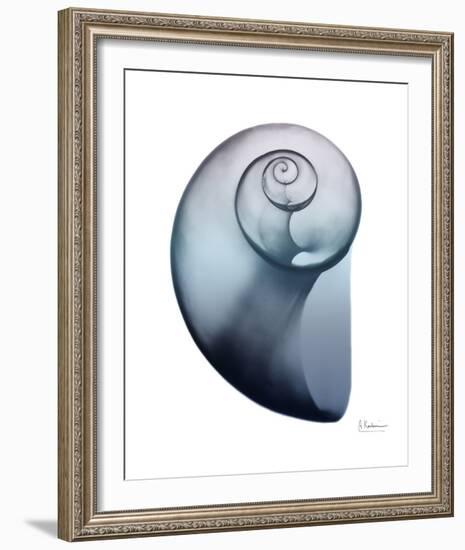 Lavender Snail 2-Albert Koetsier-Framed Photo