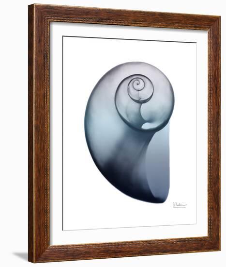 Lavender Snail 2-Albert Koetsier-Framed Photo