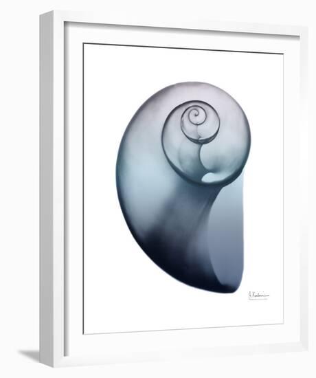 Lavender Snail 2-Albert Koetsier-Framed Photo