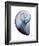 Lavender Snail 2-Albert Koetsier-Framed Photo