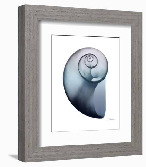 Lavender Snail 2-Albert Koetsier-Framed Photo