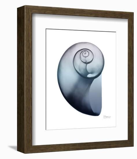 Lavender Snail 2-Albert Koetsier-Framed Photo