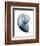 Lavender Snail 2-Albert Koetsier-Framed Photo