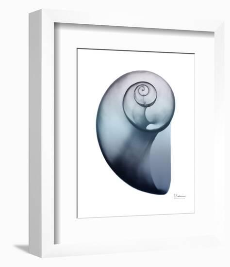 Lavender Snail 2-Albert Koetsier-Framed Photo