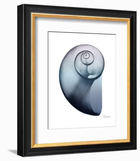 Lavender Snail 2-Albert Koetsier-Framed Photo