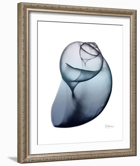 Lavender Snail 3-Albert Koetsier-Framed Photo