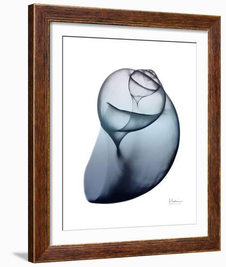 Lavender Snail 3-Albert Koetsier-Framed Photo