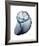 Lavender Snail 3-Albert Koetsier-Framed Photo