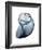 Lavender Snail 3-Albert Koetsier-Framed Photo