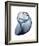 Lavender Snail 3-Albert Koetsier-Framed Photo