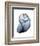 Lavender Snail 3-Albert Koetsier-Framed Photo