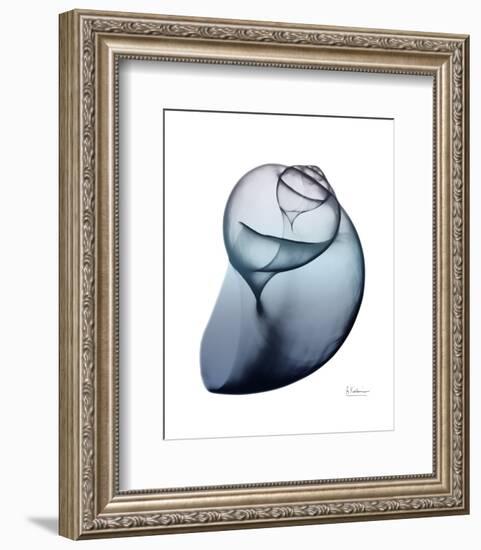 Lavender Snail 3-Albert Koetsier-Framed Photo