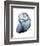 Lavender Snail 3-Albert Koetsier-Framed Photo