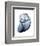 Lavender Snail 3-Albert Koetsier-Framed Photo