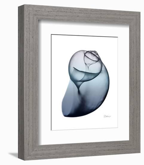 Lavender Snail 3-Albert Koetsier-Framed Photo