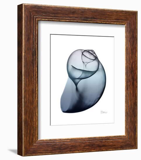 Lavender Snail 3-Albert Koetsier-Framed Photo