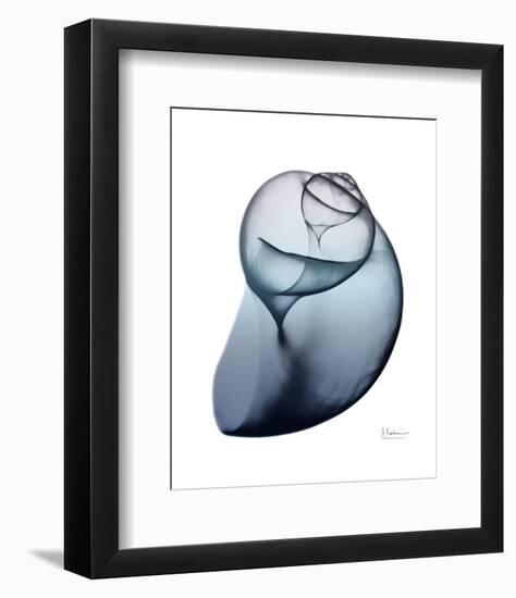 Lavender Snail 3-Albert Koetsier-Framed Photo