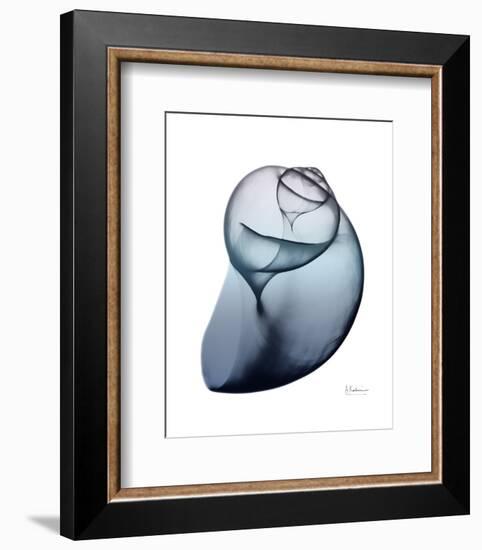 Lavender Snail 3-Albert Koetsier-Framed Photo