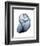 Lavender Snail 3-Albert Koetsier-Framed Photo