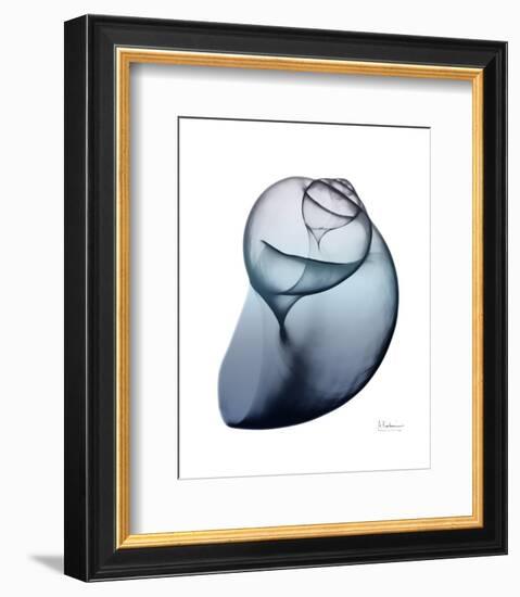 Lavender Snail 3-Albert Koetsier-Framed Photo