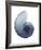 Lavender Snail 4-Albert Koetsier-Framed Photo