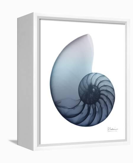 Lavender Snail 4-Albert Koetsier-Framed Stretched Canvas