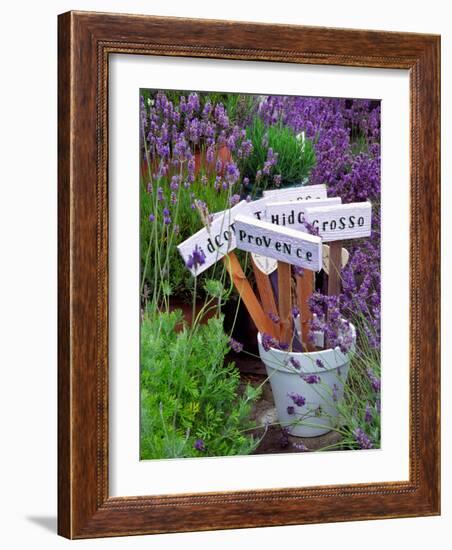 Lavender Stakes with Names and Lavender in Pots, Washington, USA-Janell Davidson-Framed Photographic Print